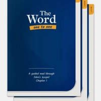 Word One to One Starter Pack