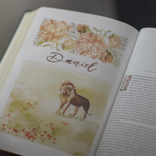 ESV GraceLaced Bible, TruTone