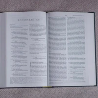 ESV Church Bible, Large Print