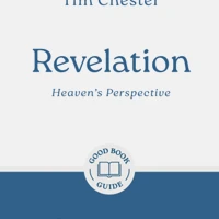 Revelation: Heaven's Perspective