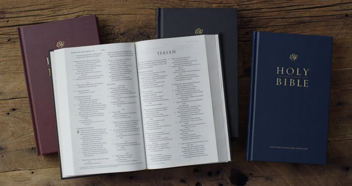 ESV Church Bible, Blue