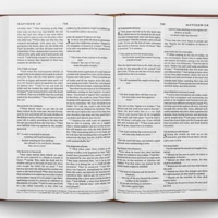 ESV Church Bible, Burgundy