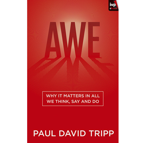 Awe (ebook)