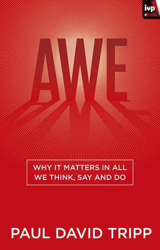 Awe (ebook)