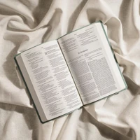 NLT Premium Value Thinline Bible, Filament Enabled