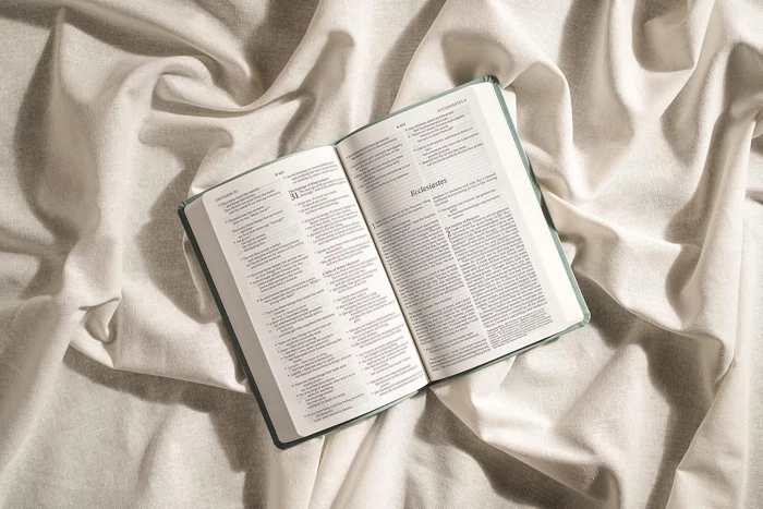NLT Premium Value Thinline Bible, Filament Enabled