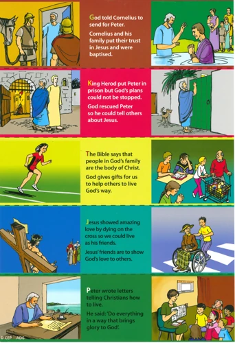 Click Unit 6: 5-7s Child's Component