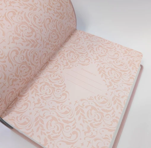 NLT Holy Bible (Pink)