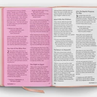 ESV Holy Bible: Dyslexia-Friendly Edition
