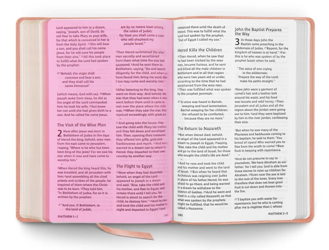 ESV Holy Bible: Dyslexia-Friendly Edition