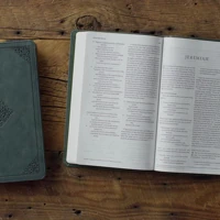 ESV Large Print Value Thinline Bible (Quiet Forest)