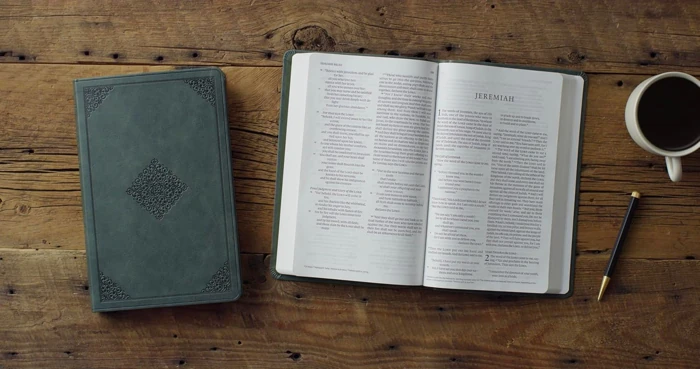 ESV Large Print Value Thinline Bible (Quiet Forest)