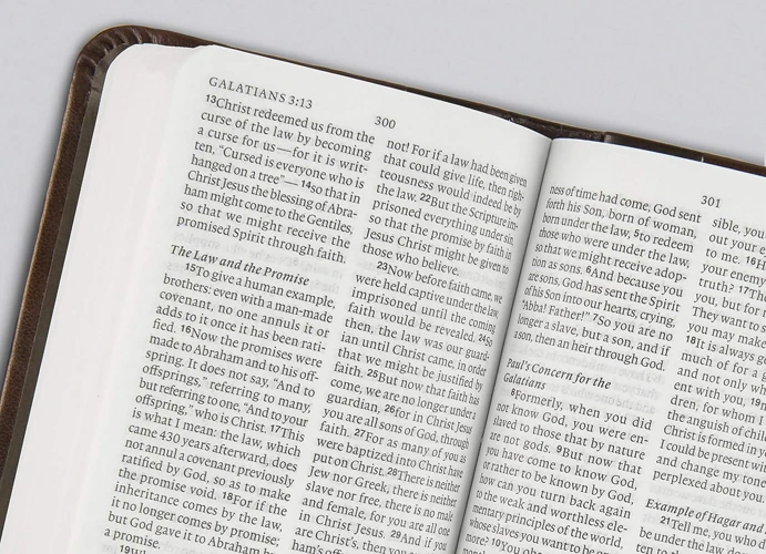 ESV Vest Pocket New Testament with Psalms and Proverbs, Red Letter