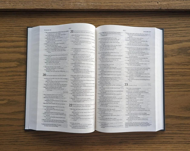 NLT Church Bible