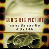 God's Big Picture