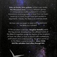 God's Big Picture