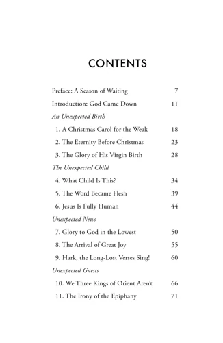 The Christmas We Didn't Expect (ebook)