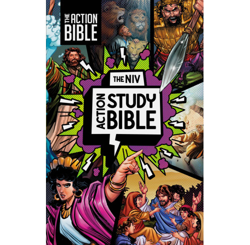 The NIV Action Study Bible