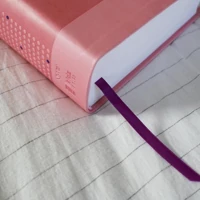 NIrV, Clear Focus Bible for Kids (Leathersoft, Pink)