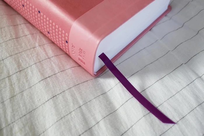 NIrV, Clear Focus Bible for Kids (Leathersoft, Pink)