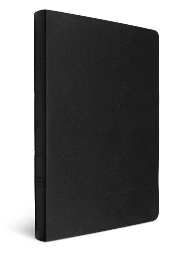 ESV Giant Print Value Thinline Bible