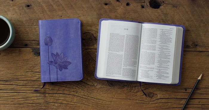 ESV Compact Bible, Lavender