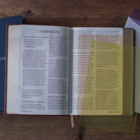 ESV Holy Bible: Dyslexia-Friendly Edition, TruTone Brown