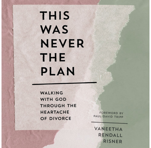 This Was Never the Plan (Audiobook)