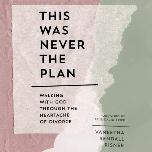 This Was Never the Plan (audiobook)