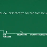 The Environment (ebook)