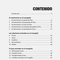 Gospel-Centered Marriage (Spanish)