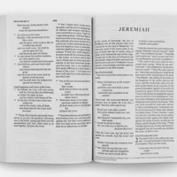 ESV Economy Bible, Large Print