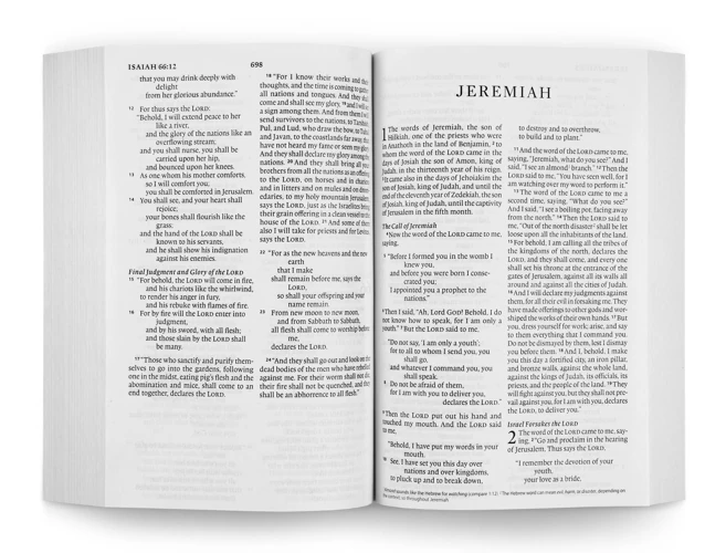 ESV Economy Bible, Large Print