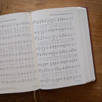 The Sing! Hymnal (TruTone over Board, Brown)