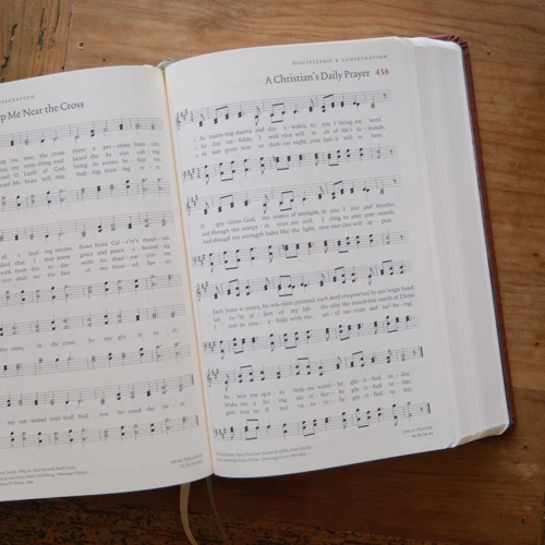 The Sing! Hymnal (TruTone over Board, Brown)