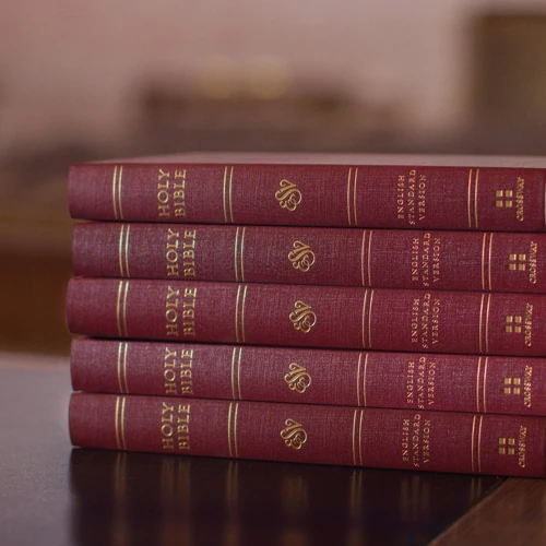 ESV Church Bible, Burgundy