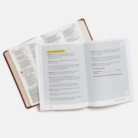 Abide - Bible Study Book with Video Access