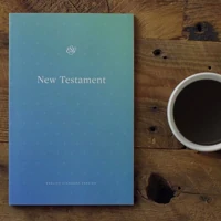 ESV Outreach New Testament