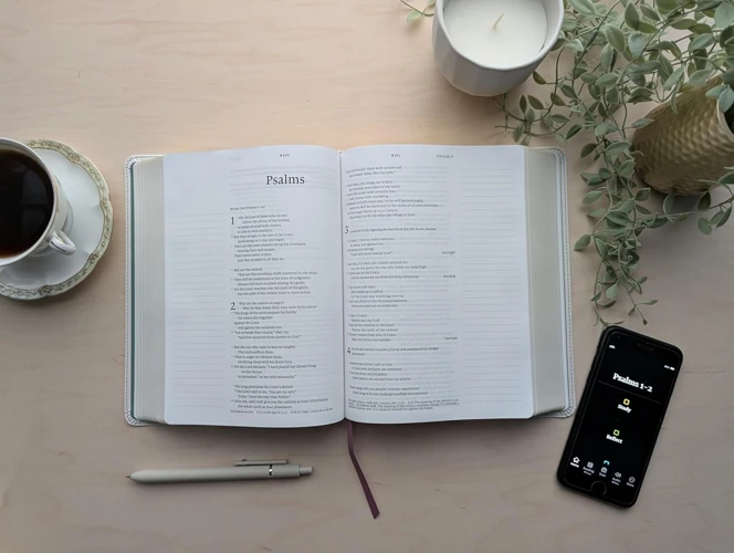 NLT Wide Margin Bible, Filament Enabled