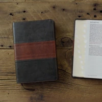 ESV Giant Print Personal Size Bible, Red Letter, Thumb Indexed