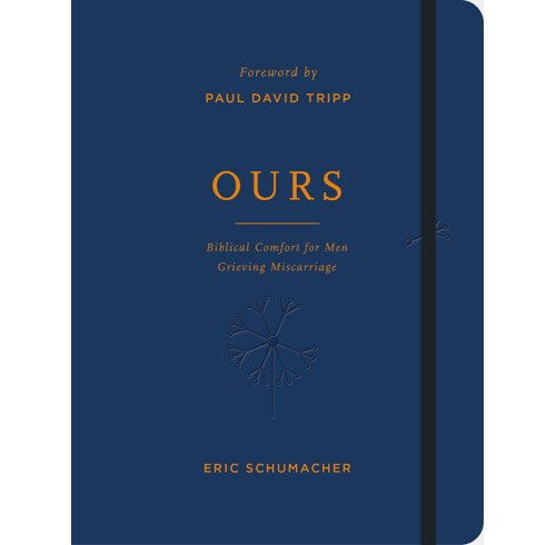 Ours (ebook)