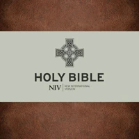 NIV Celtic Bible