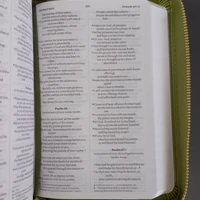 NIV Pocket Olive Green Bible with Gold Zip