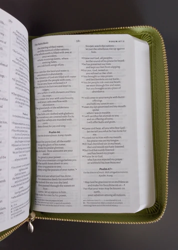 NIV Pocket Olive Green Bible with Gold Zip