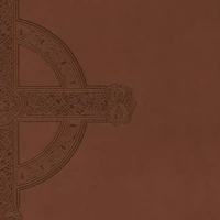 NLT Large Print Premium Value Thinline Bible, Filament Enabled