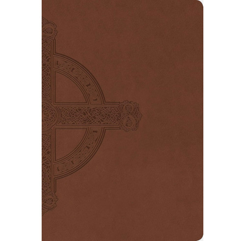 NLT Large Print Premium Value Thinline Bible, Filament Enabled