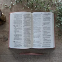 NLT Premium Value Thinline Bible, Filament-Enabled