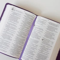 NIV Larger Print Personal Purple Soft-Tone Bible