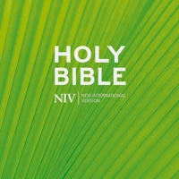 NIV Schools Hardback Bible