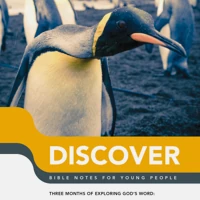 Discover: Book 6